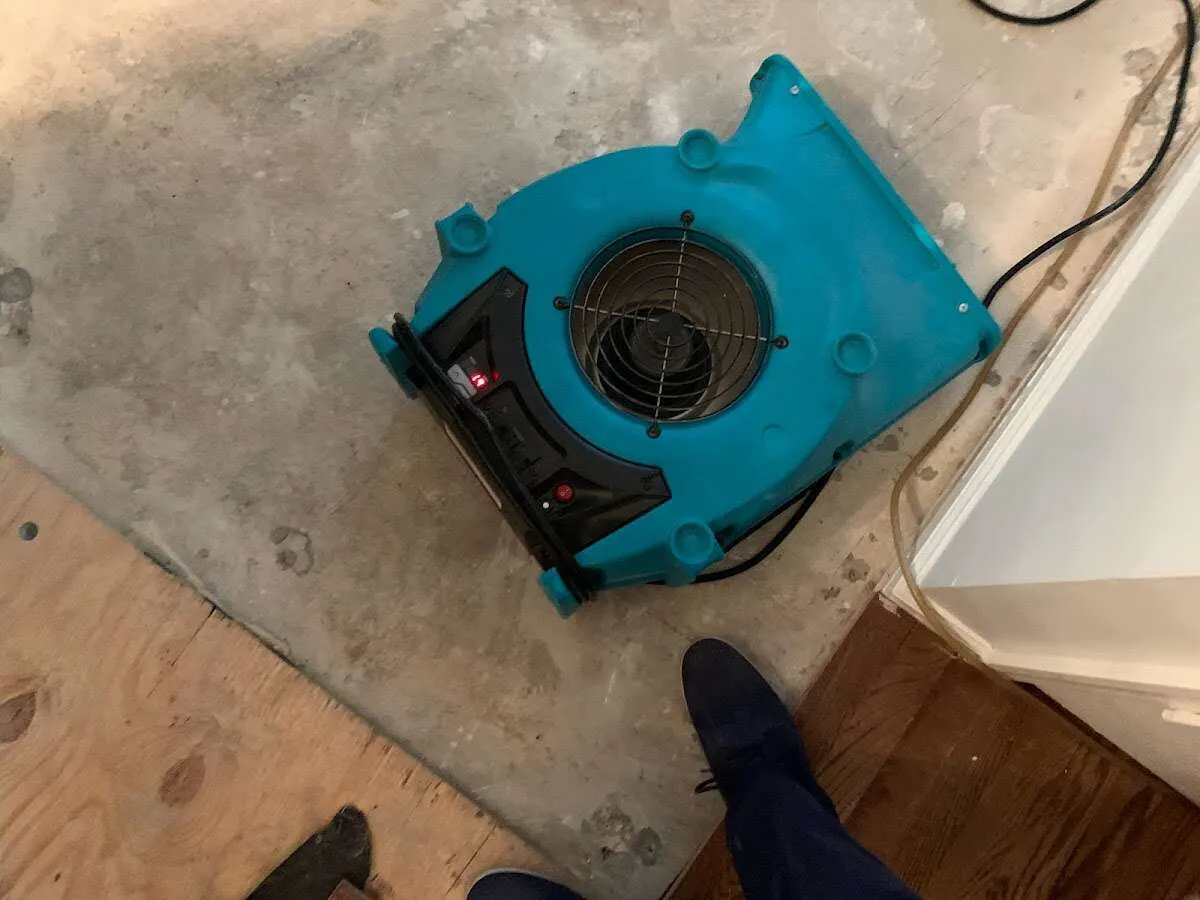 Air mover drying subfloor during Leak Detection & Repair in Gig Harbor